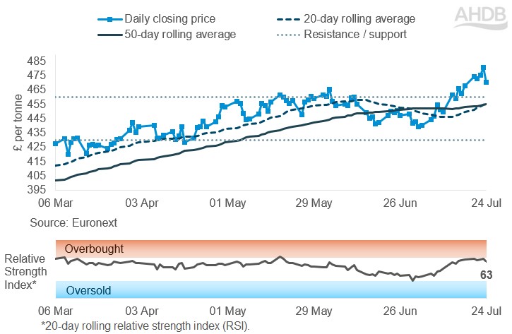 A graph showing paris rapeseed futures